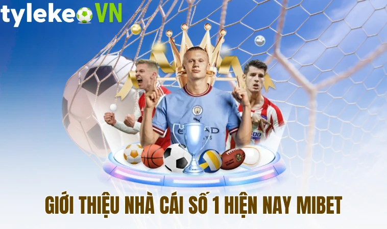 Giới thiệu nhà cái số 1 hiện nay Mibet