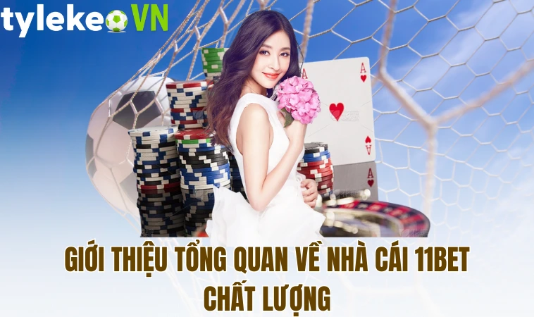 Giới thiệu tổng quan về nhà cái 11bet chất lượng