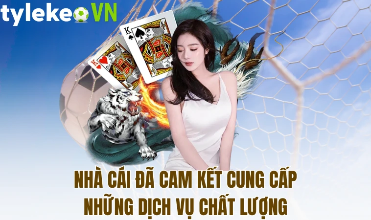 N88 - Nhà Cái Cá Cược Giải Trí Quốc Tế Hàng Đầu Hiện Nay 2 Nhà cái đã cam kết cung cấp những dịch vụ chất lượng