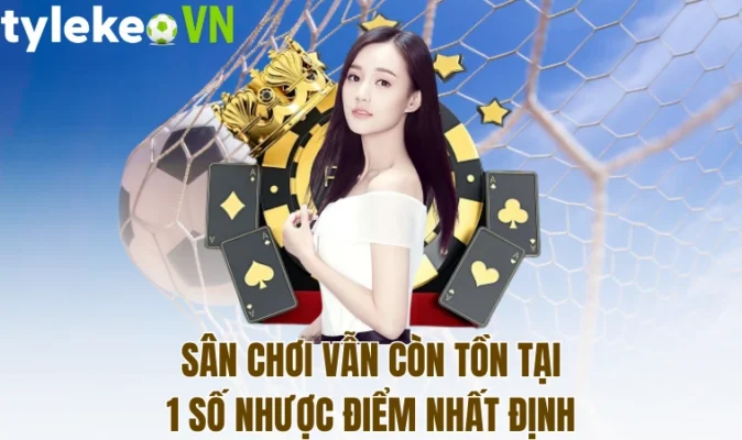 Sân chơi vẫn còn tồn tại 1 số nhược điểm nhất định